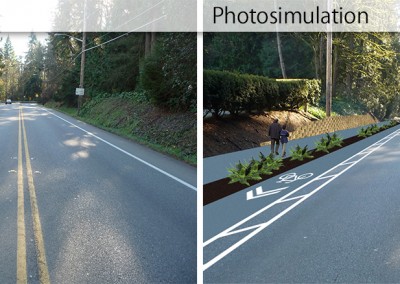 Visualizing Future Conditions with Photosimulations